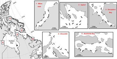 Biodiversity of coastal epibenthic macrofauna in Eastern Canadian Arctic: Baseline mapping for management and conservation